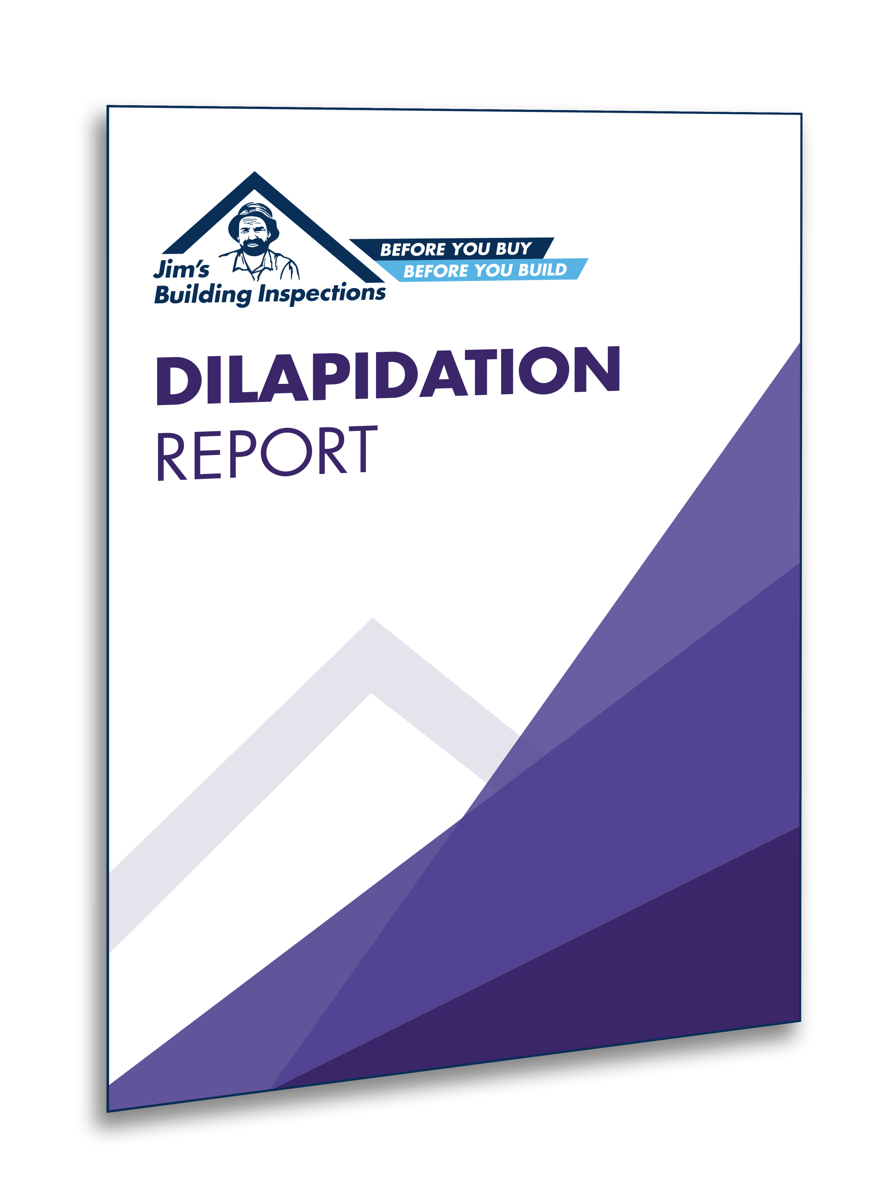 Sample Dilapidation Report