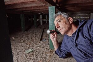 Benefits of Pre-Purchase Building + Pest Inspection Report