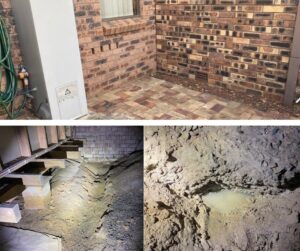 Inadequate Site and subfloor drainage
