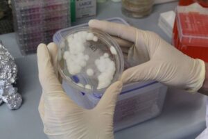 Three Simple Ways To Fight Mould