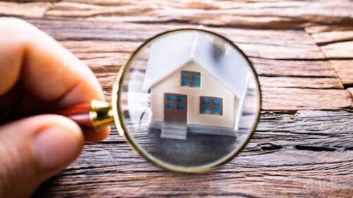 Building and Pest Report: Why It’s Essential for Homebuyers