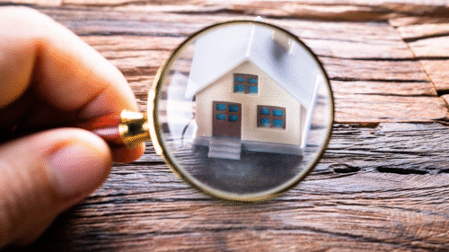 what is pest control