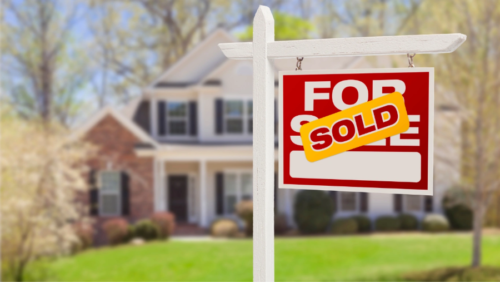 Pre-Purchase Termite Inspection: A Must for Homebuyers 