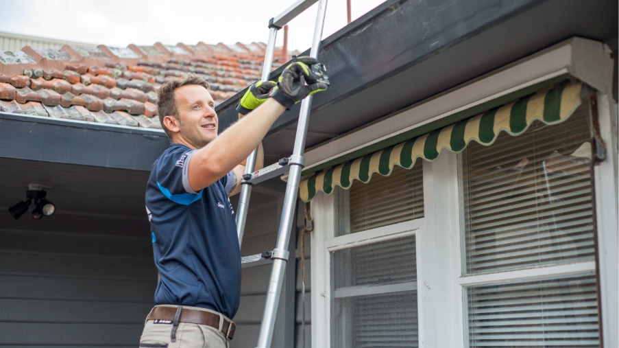 Building Inspection